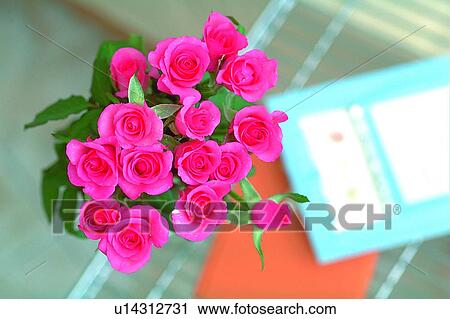 plant, flower, rose, leaf, light, iron stand View Large Photo Image Stock Image - plant, flower, rose, leaf, light, iron stand. Fotosearch