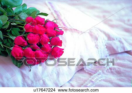 plant, flower, rose, leaf, light, bouquet View Large Photo Image Picture - plant, flower, rose, leaf, light, bouquet. Fotosearch
