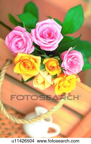 plant, flower, rose, leaf, light, rope View Large Photo Image Picture - plant, flower, rose, leaf, light, rope. Fotosearch