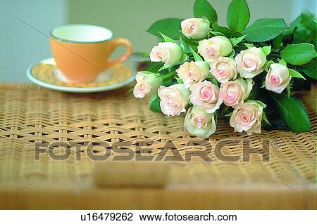 Stock Image - plant, flower, rose, leaf, light, bouquet. Fotosearch