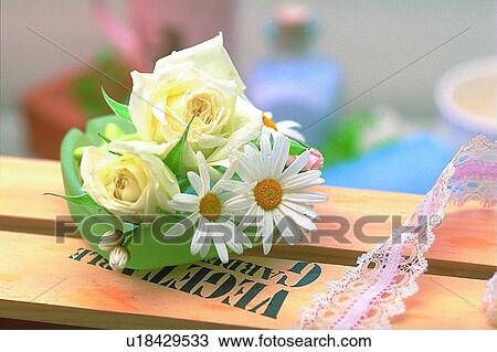 plant, flower, rose, leaf, light, sun flower View Large Photo Image Stock Image - plant, flower, rose, leaf, light, sun flower. Fotosearch