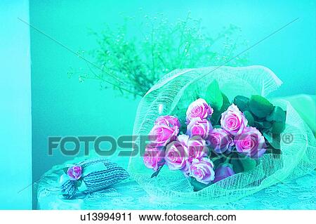 plant, flower, rose, leaf, light, table View Large Photo Image Stock Image - plant, flower, rose, leaf, light, table. Fotosearch