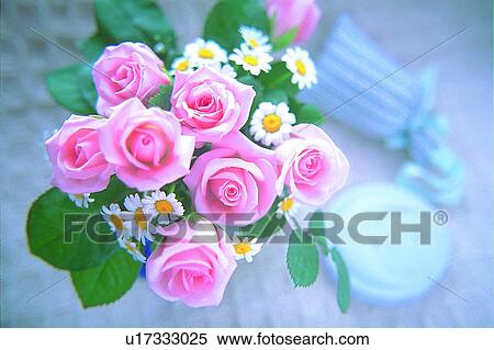 plant, flower, rose, leaf, light, vase View Large Photo Image Stock Photography - plant, flower, rose, leaf, light, vase. Fotosearch