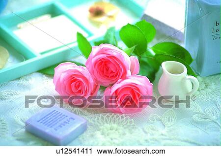 plant, frame, light, pink, flower, glass bottle View Large Photo Image Stock Image - plant, frame, light, pink, flower, glass bottle. Fotosearch