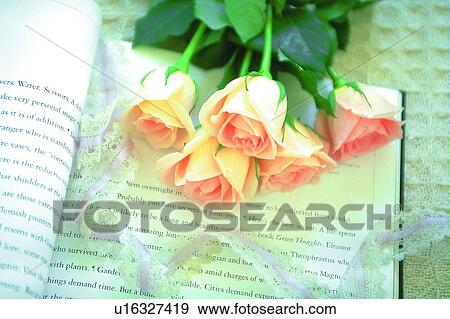 Stock Photo - ribbon, rose, flower, leaf, table cloth, yellow. Fotosearch