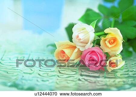 Stock Image - rose, flower, glass plate, leaf, light, cup. Fotosearch