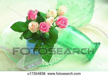 Stock Photo - rose, leaf, cup, flower, plant, vase, light. Fotosearch