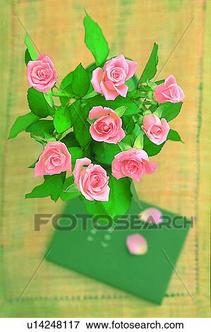 Stock Photo - rose, light, flower, plant, leaf, fabric. Fotosearch