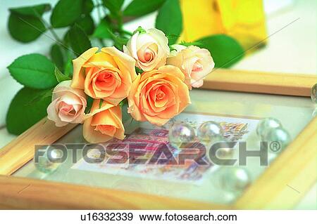rose, light, glass, frame, marble, yellow View Large Photo Image Stock Photo - rose, light, glass, frame, marble, yellow. Fotosearch