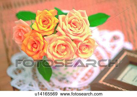 rose, light, leaf, table cloth, flower, plant View Large Photo Image Stock Photo - rose, light, leaf, table cloth, flower, plant. Fotosearch
