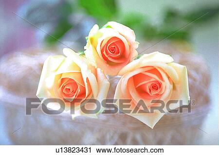Stock Image - rose, plant, leaf, light, glass bowl, flower. Fotosearch
