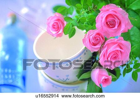 tea cup, leaf, glass bottle, pink, flower, light, plant View Large Photo Image Picture - tea cup, leaf, glass bottle, pink, flower, light, plant. Fotosearch