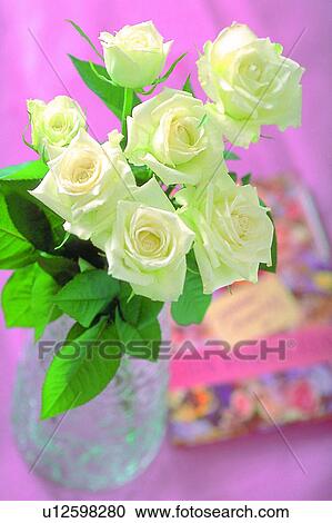 vase, yellow, flower, leaf, light, book View Large Photo Image Stock Image - vase, yellow, flower, leaf, light, book. Fotosearch