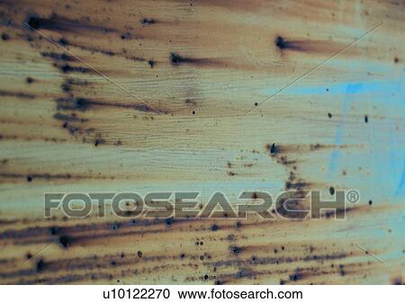 Stock Image - spot, iron, material, structure, rust, metal. Fotosearch