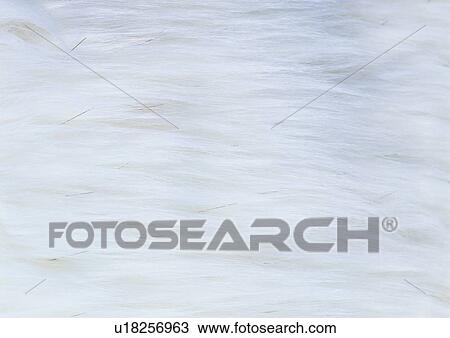 Stock Image - Close-Up, Cloth, Crumpled, Fabric, Full Frame. Fotosearch