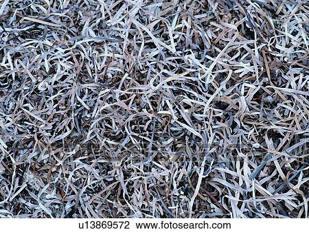 Stock Image - Ideas, Special Backgrounds, Cluster, Full Frame, Background, Directly Above. Fotosearch