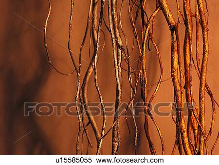 Wood, Indoor, Fiber, Special Backgrounds, Full Frame View Large Photo Image Stock Photography - Wood, Indoor, Fiber, Special Backgrounds, Full Frame. Fotosearch