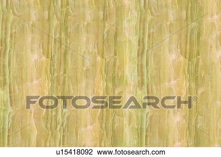 Stock Image - material, structure, hard, rock, pattern. Fotosearch