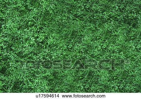 Picture - rock, structure, material, hard, pattern, green. Fotosearch