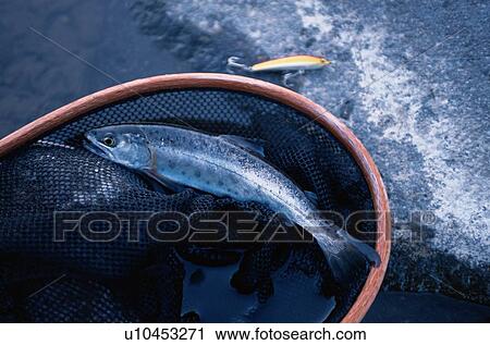 Fish And Fishing Equipment View Large Photo Image Stock Image - Fish And Fishing Equipment. Fotosearch