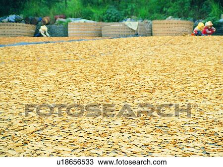 Stock Image - outdoor, countryside, court yard, basket, farmer, hat. Fotosearch