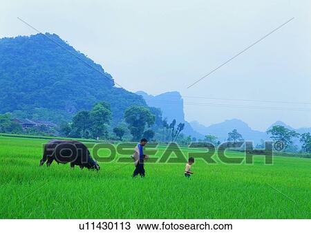 plant, outdoor, field, countryside, farmer, child View Large Photo Image Stock Image - plant, outdoor, field, countryside, farmer, child. Fotosearch
