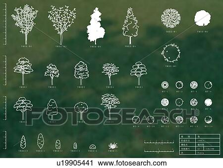 Stock Image - technical, layout, cad, sketch, build, arrangement. Fotosearch