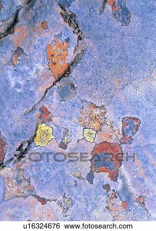 Stock Photograph - rock, stone, outdoor, crack, wall, chap. Fotosearch