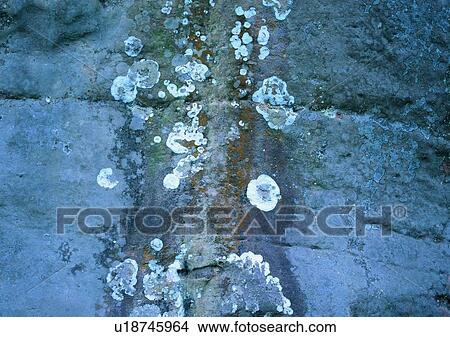 rock, stone, wall, outdoor, mottled View Large Photo Image Picture - rock, stone, wall, outdoor, mottled. Fotosearch