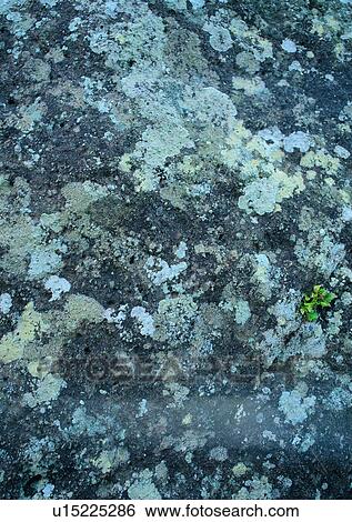 rock, stone, wall, outdoor, mottled View Large Photo Image Stock Photograph - rock, stone, wall, outdoor, mottled. Fotosearch