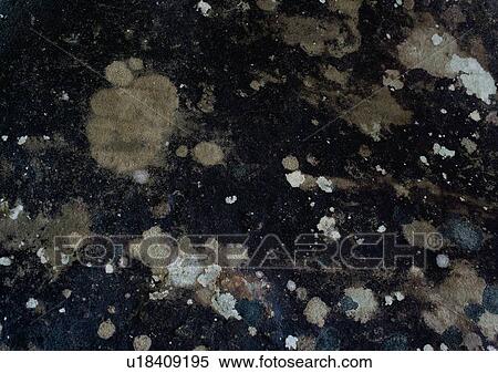 wall, mottled, outdoor, stone, rock View Large Photo Image Stock Photography - wall, mottled, outdoor, stone, rock. Fotosearch