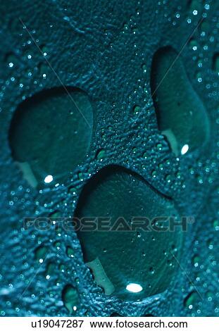 water, drop, green, close-up View Large Photo Image Stock Photo - water, drop, green, close-up. Fotosearch