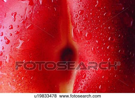 Stock Photo - water, drop, peach, fruit, close-up. Fotosearch