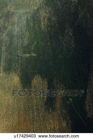 Stock Image - Brown, Close-Up, Dark, Full Frame, Grain. Fotosearch