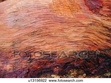 Stock Image - Brown, Close-Up, Full Frame, Grain. Fotosearch
