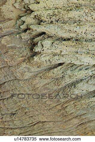 Brown, Close-Up, Full Frame, Grain, Indoor View Large Photo Image Stock Photography - Brown, Close-Up, Full Frame, Grain, Indoor. Fotosearch