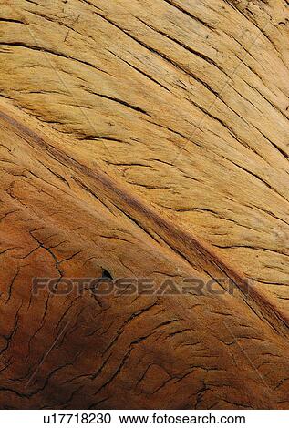 Stock Image - Brown, Indoor, Nature, Ridge, Full Frame. Fotosearch
