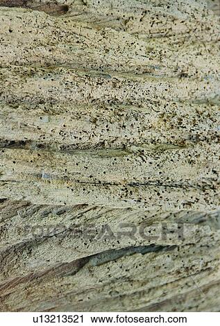 Brown, Natural Pattern, Close-Up, Rough, Indoor View Large Photo Image Stock Image - Brown, Natural Pattern, Close-Up, Rough, Indoor. Fotosearch