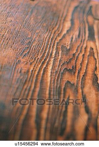 Picture - Brown, Natural Pattern, Full Frame, Close-Up, Wood Grains. Fotosearch