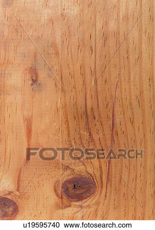 Stock Image - Circle, Cross Section, Indoor, Grain, Wood Grains. Fotosearch