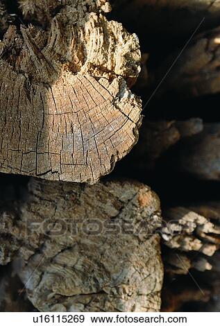 Close-Up, Full Frame, Grain, Indoor, Log View Large Photo Image Stock Photo - Close-Up, Full Frame, Grain, Indoor, Log. Fotosearch