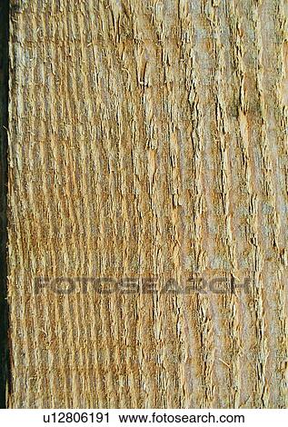 Stock Image - Close-Up, Full Frame, Grain, Indoor, Natural Pattern. Fotosearch