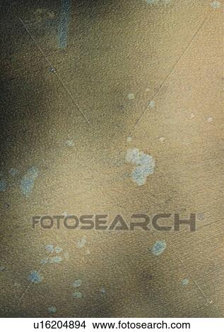 Picture - Image Dictionary, Grain, Full Frame, Natural Pattern, Wood Grains, Wood, Brown. Fotosearch