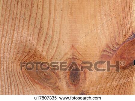 Stock Photography - Indoor, Grain, Cross Section, Beige, Nature. Fotosearch
