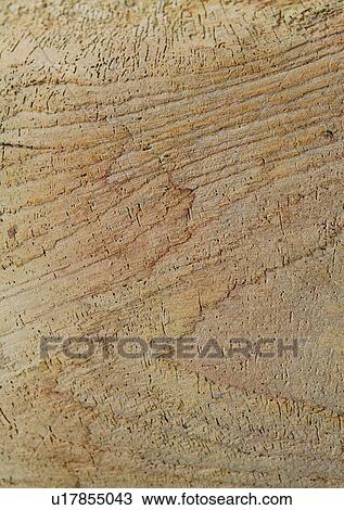 Stock Image - Indoor, Tree Ring, Wood, Wood Grains, Full Frame, Close-Up. Fotosearch