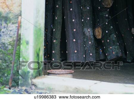 Stock Image - Nature, Doorway, Vessel, Stack, Log, Wood Grains. Fotosearch