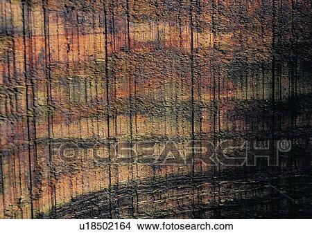 Nature, Grain, Close-Up, Natural Pattern View Large Photo Image Picture - Nature, Grain, Close-Up, Natural Pattern. Fotosearch