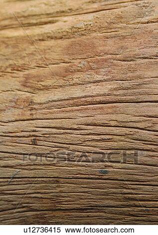 Nature, Grooved, Indoor, Natural Pattern, Close-Up, Wood Grains View Large Photo Image Stock Photography - Nature, Grooved, Indoor, Natural Pattern, Close-Up, Wood Grains. Fotosearch