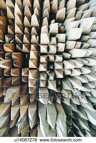 Stock Photo - Pattern, Nature, Close-Up, Indoor, Natural Pattern. Fotosearch