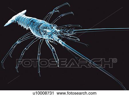 black, black background, blue View Large Photo Image Stock Image - black, black background, blue. Fotosearch